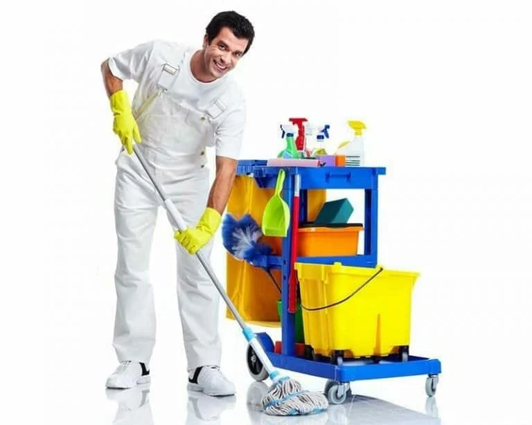Cleaner working in a home