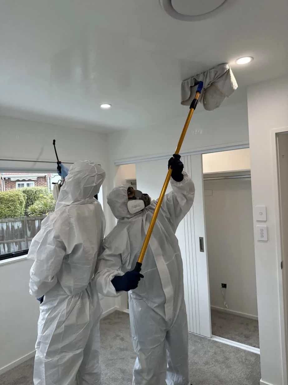 Xpert Cleaning carpet cleaning and drying detail