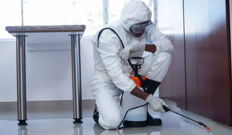 Xpert Cleaning property cleaning context for north shore Auckland